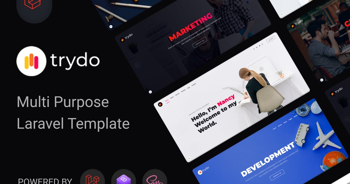 Trydo – 代理机构和作品集 Laravel 12 模板